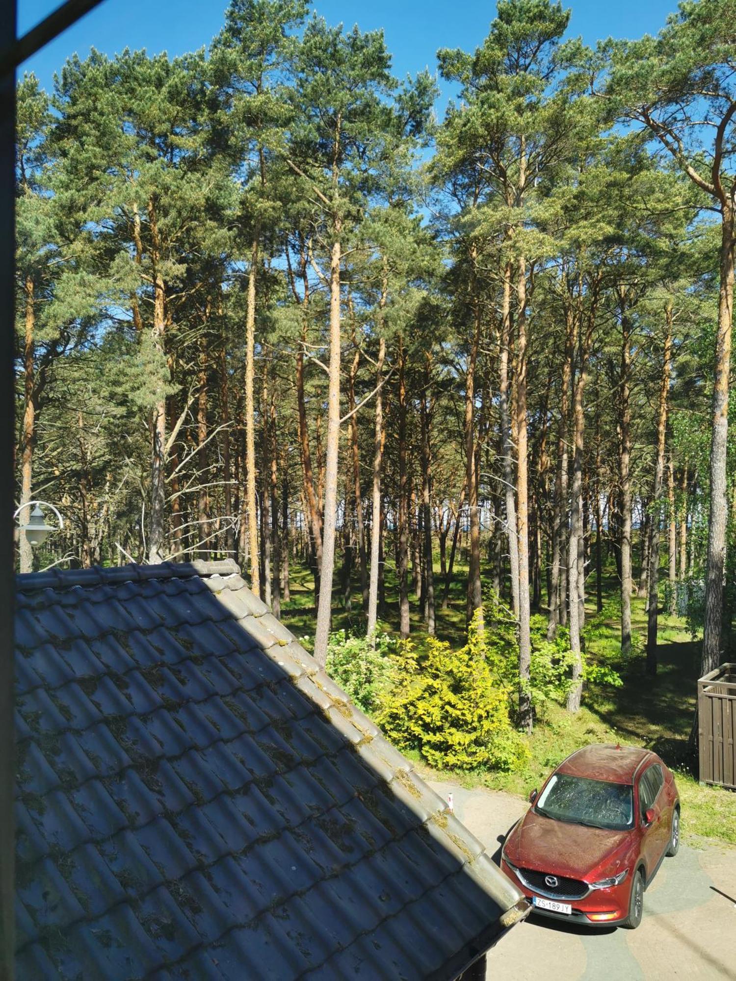 Dom Goscinny Dzafar Pogorzelica Pogorzelica  Exterior foto